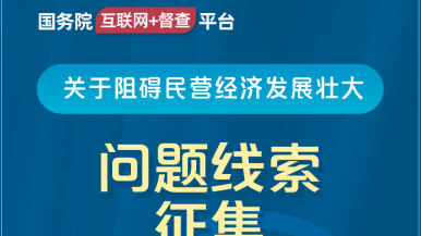 xiaose3569国务院“互联网+督查”平台公开征集阻碍民营经济发展壮大问题线索